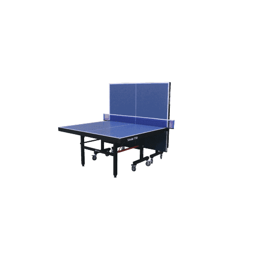 Профессиональный теннисный стол Scholle T750. Фото N3